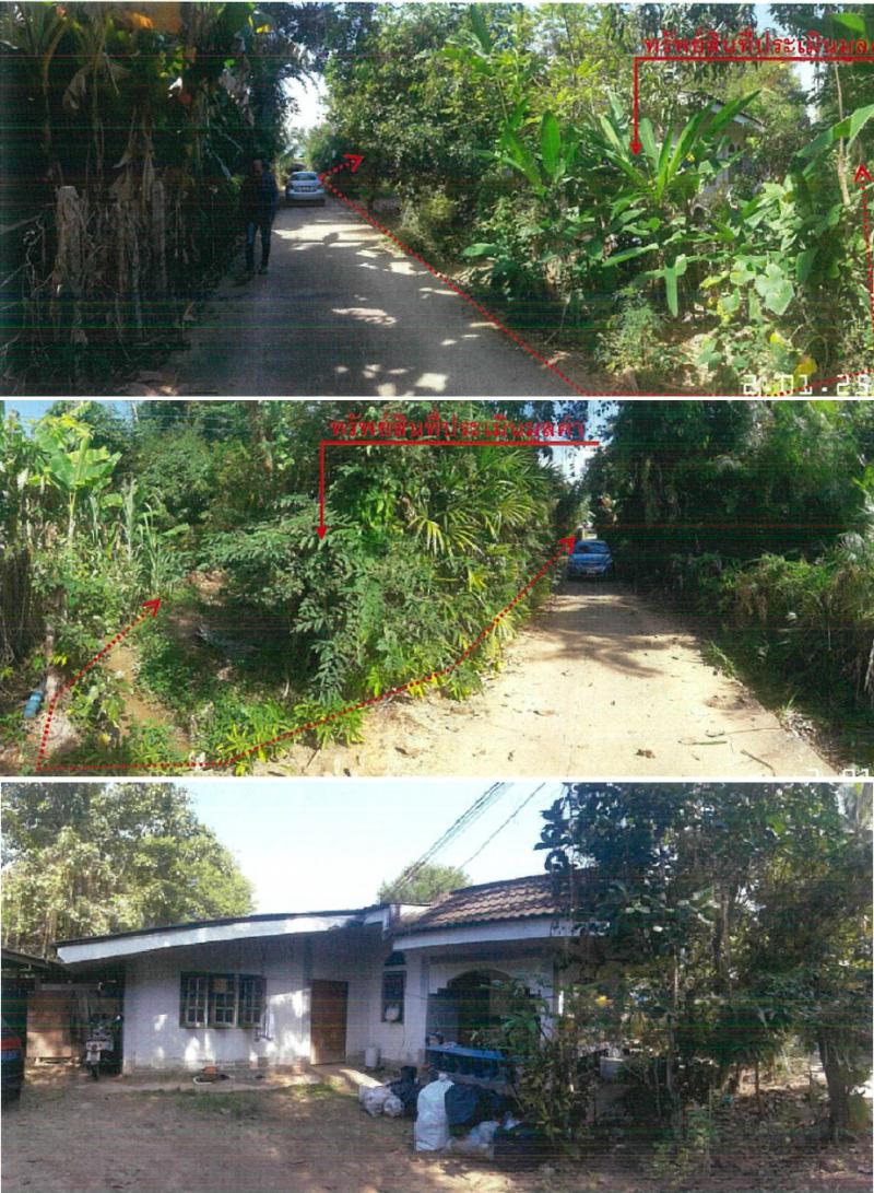 ที่ดินพร้อมสิ่งปลูกสร้างหลุดจำนอง ธ.ธนาคารกรุงไทย เชียงใหม่ ไชยปราการ ศรีดงเย็น