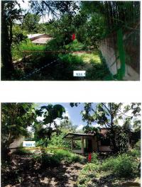 บ้านเดี่ยวหลุดจำนอง ธ.ธนาคารกรุงไทย เชียงใหม่ ฝาง เวียง