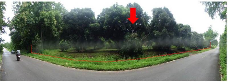 ที่ดินหลุดจำนอง ธ.ธนาคารออมสิน เชียงใหม่ พร้าว แม่ปั๋ง