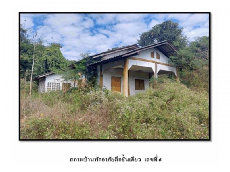 ที่ดินพร้อมสิ่งปลูกสร้างหลุดจำนอง ธ.ธนาคารออมสิน เชียงใหม่ เชียงดาว แม่นะ