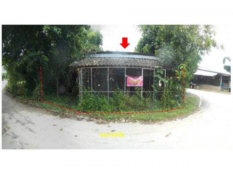 ที่ดินพร้อมสิ่งปลูกสร้างหลุดจำนอง ธ.ธนาคารออมสิน เชียงใหม่ ฝาง แม่งอน