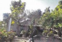 บ้านเดี่ยวหลุดจำนอง ธ.ธนาคารอาคารสงเคราะห์ เชียงใหม่ สันกำแพง ออนใต้