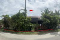 บ้านเดี่ยวหลุดจำนอง ธ.ธนาคารอาคารสงเคราะห์ เชียงใหม่ ดอยสะเก็ด ป่าลาน