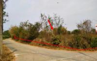 ที่ดินว่างเปล่าหลุดจำนอง ธ.ธนาคารกสิกรไทย เชียงใหม่ สันป่าตอง บ้านกลาง