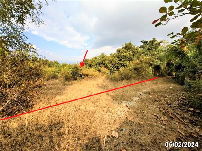 ที่ดินว่างเปล่าหลุดจำนอง ธ.ธนาคารกสิกรไทย เชียงใหม่ สันป่าตอง บ้านกลาง