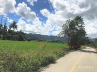 ที่ดินว่างเปล่าหลุดจำนอง ธ.ธนาคารกสิกรไทย เชียงใหม่ ไชยปราการ ศรีดงเย็น