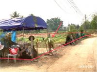 ที่ดินว่างเปล่าหลุดจำนอง ธ.ธนาคารกสิกรไทย เชียงใหม่ ฝาง แม่คะ
