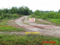 ที่ดินว่างเปล่าหลุดจำนอง ธ.ธนาคารกสิกรไทย เชียงใหม่ สันป่าตอง บ้านกลาง