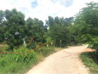 ที่ดินว่างเปล่าหลุดจำนอง ธ.ธนาคารกสิกรไทย เชียงใหม่ ฝาง แม่คะ