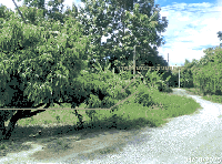 ที่ดินว่างเปล่าหลุดจำนอง ธ.ธนาคารกสิกรไทย เชียงใหม่ จอมทอง ข่วงเปา