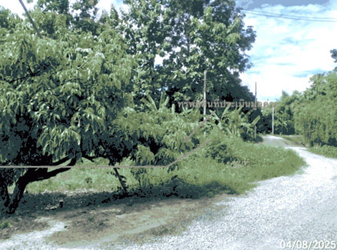 ที่ดินว่างเปล่าหลุดจำนอง ธ.ธนาคารกสิกรไทย เชียงใหม่ จอมทอง ข่วงเปา