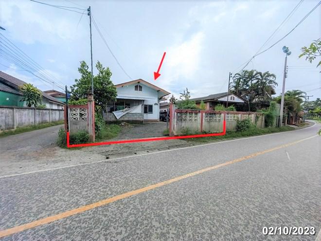 บ้านเดี่ยวหลุดจำนอง ธ.ธนาคารกสิกรไทย เชียงใหม่ สันป่าตอง ยุหว่า