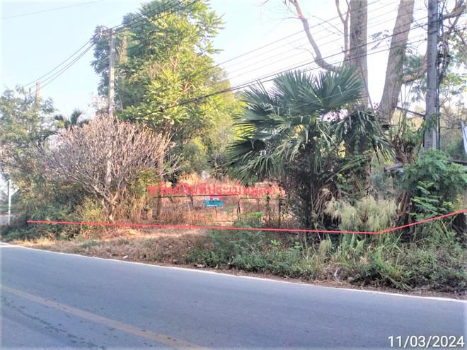 บ้านเดี่ยวหลุดจำนอง ธ.ธนาคารกสิกรไทย เชียงใหม่ แม่แจ่ม ท่าผา