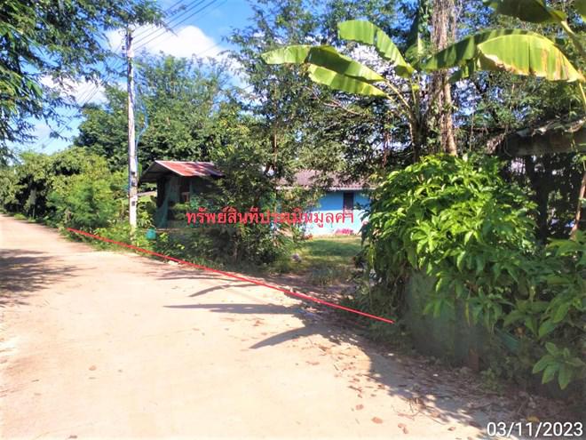 บ้านเดี่ยวหลุดจำนอง ธ.ธนาคารกสิกรไทย เชียงใหม่ ฮอด บ้านตาล