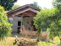 บ้านเดี่ยวหลุดจำนอง ธ.ธนาคารกสิกรไทย เชียงใหม่ แม่อาย สันต้นหมื้อ