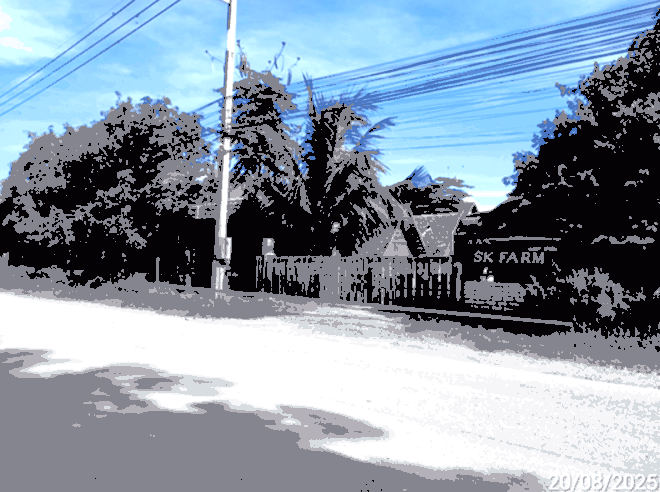 บ้านเดี่ยวหลุดจำนอง ธ.ธนาคารกสิกรไทย เชียงใหม่ จอมทอง ข่วงเปา